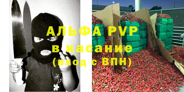 гашик Алексеевка