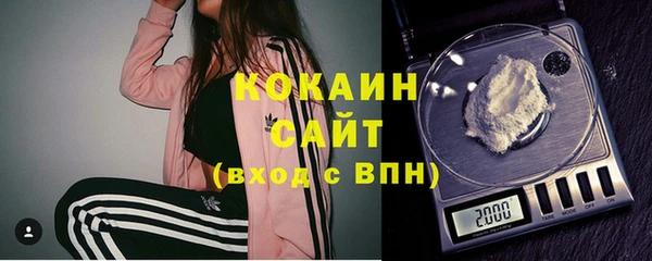 гашик Алексеевка